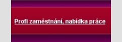 Nab�dky pr�ce